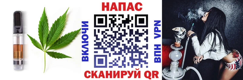 Купить закладки  Апшеронск  Cannafood конопля 