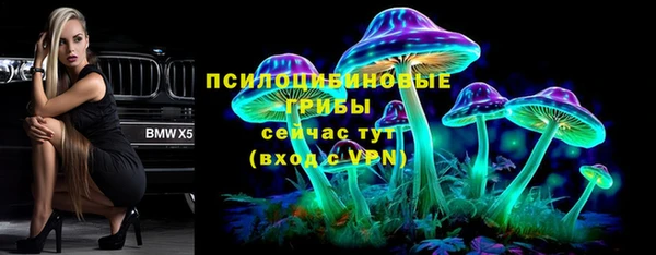 apvp Кулебаки