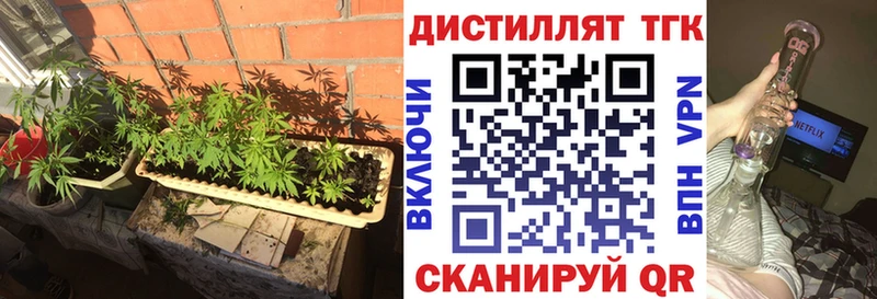 Купить где  Апшеронск  ТГК THC oil 